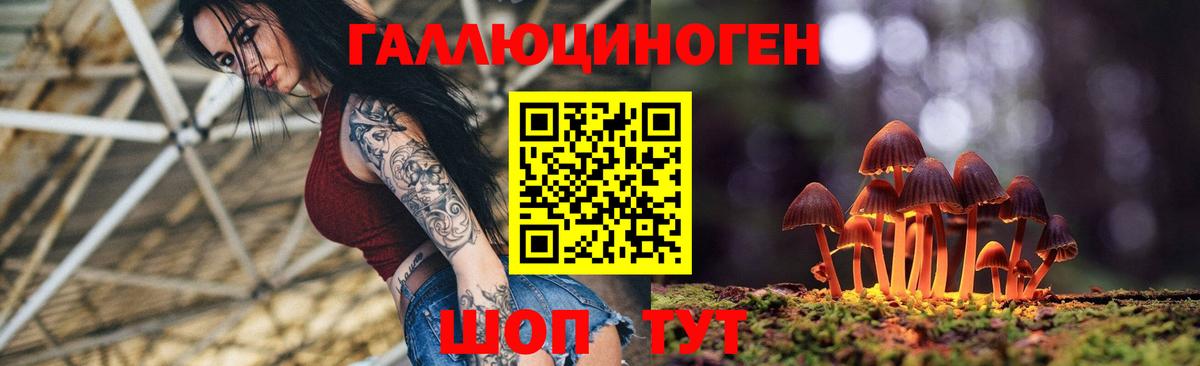 купить наркотик  Галлюциногенные грибы Psilocybe  Вход с VPN  Псилоцибиновые грибы прущие грибы  Сатка 